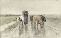 A Herdess with Cows on a Country Road in the Rain