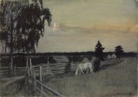 Horses Grazing