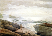 Waves on a Rocky Coast
