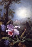Orchids, Passion Flowers and Hummingbird