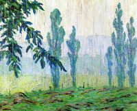 Rain