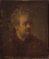 Head of an Old Man (after)