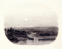 Land of the Lotus Eaters