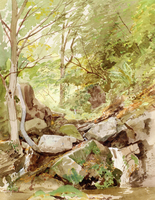Trees and Rocks by a Stream