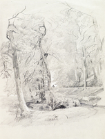 Wooded Glade