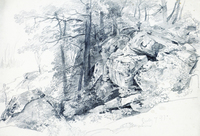 Rocks and Trees (Conanicut Island?)