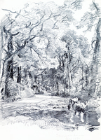 Tennyson's Lane, Isle of Wight