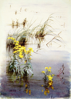 Nature Study