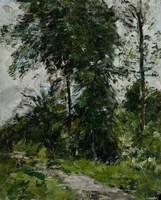Arbre vert – l’allée