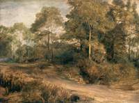 A Wooded Landscape