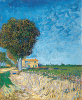 A Lane near Arles