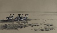 Wild Geese at the Lake
