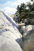 A Gully, Monhegan Island