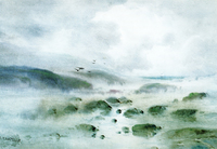 Sea Smoke