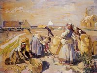 Potato Harvest