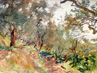 Majorca: Trees on a Hillside