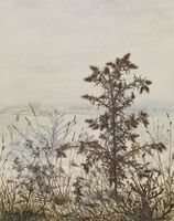 Thistles and Weeds