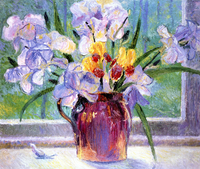 Iris