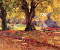 Gardens, Silvermine