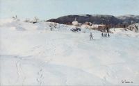 A Winter's Day in Norway