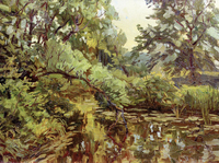 Summer Study of a Brook