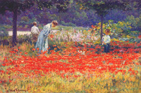 Poppy Garden