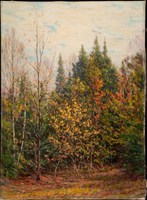 Spires of the Woods