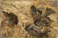 House Sparrows