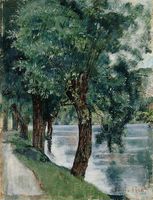 Willows on the Rhone