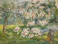 Apple Blossom in the Garden at Kingsley, Bushey