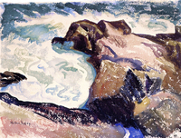 Rocky Coast