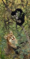 Cat and Fox