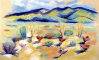 Sagebrush, New Mexico