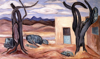 New Mexico Landscape