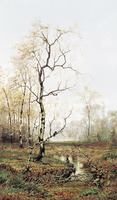 Forest in Spring