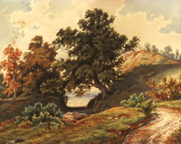 Landscape in Olivano