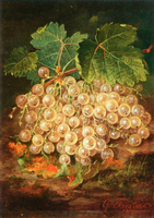 Still Life with Currants