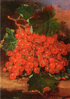 Still Life with Currants
