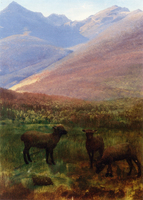 White Mountains near Glen House