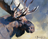 Moose Head