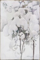 Pines under the Snow