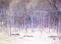 Woods North of Higgins Road