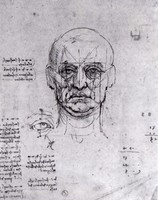 Head and Eyes - Study of Proportions