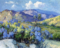 Mountain Lilac - Palomar