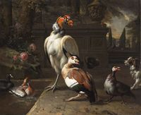 Exotic Birds in a Park