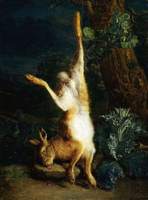 A Dead Hare