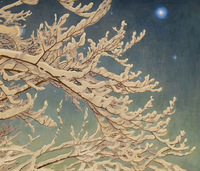 Winter Night