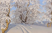 Mountain birches in winter
