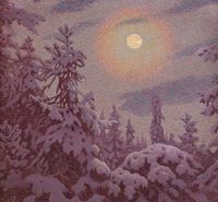 Snow-covered Trees in the Moonlight