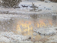 Frosty Morning